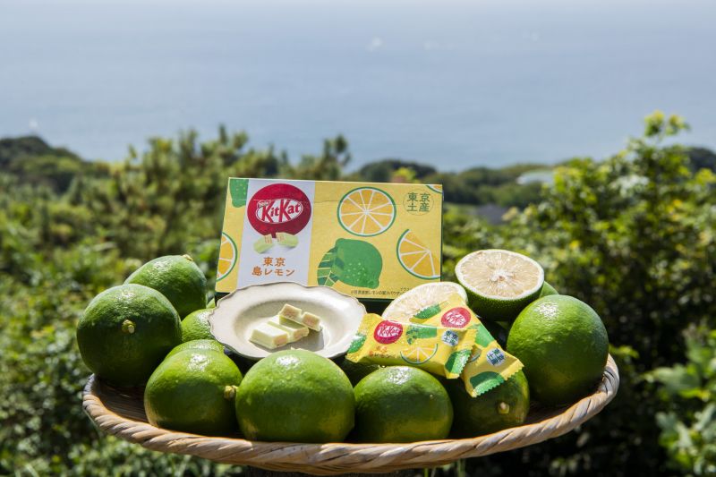 kitkat tokyo shima lemon kitkat tokyo shima lemon